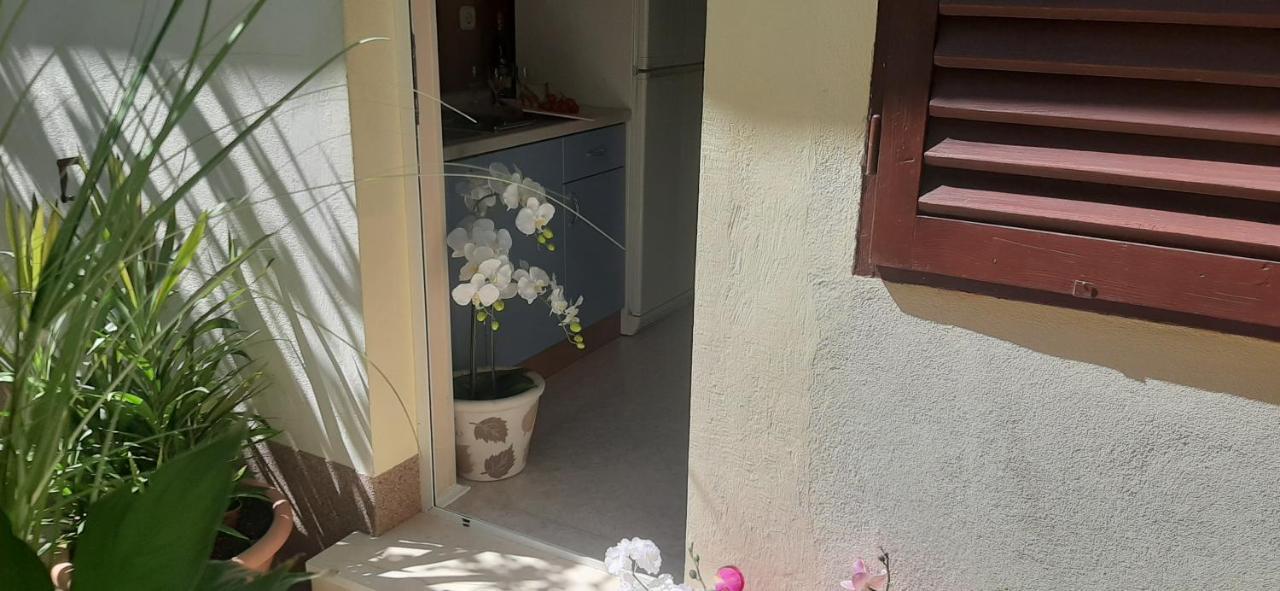 Apartment Marin I Vinka